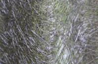 Kinneff fibreglass roof work